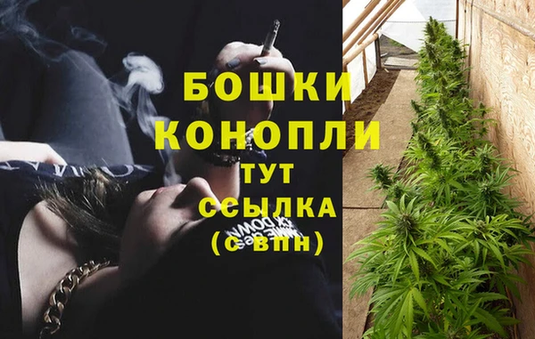 спиды Козельск