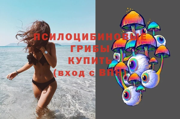 шишки Козловка