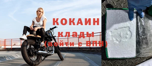 шишки Козловка