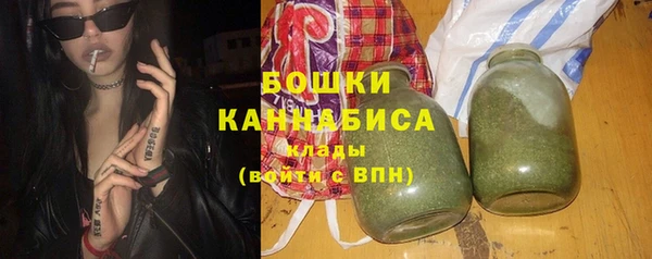 шишки Козловка