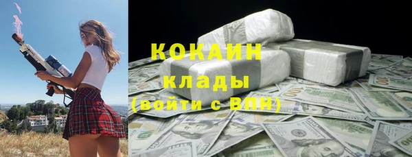 шишки Козловка